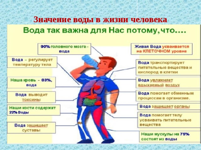 Вода в жизни человека презентация для детей