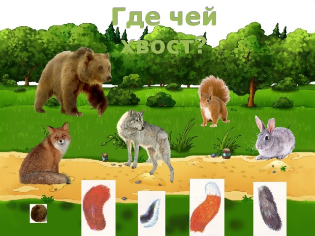 Где чей хвост?