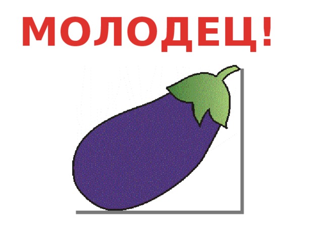 МОЛОДЕЦ!