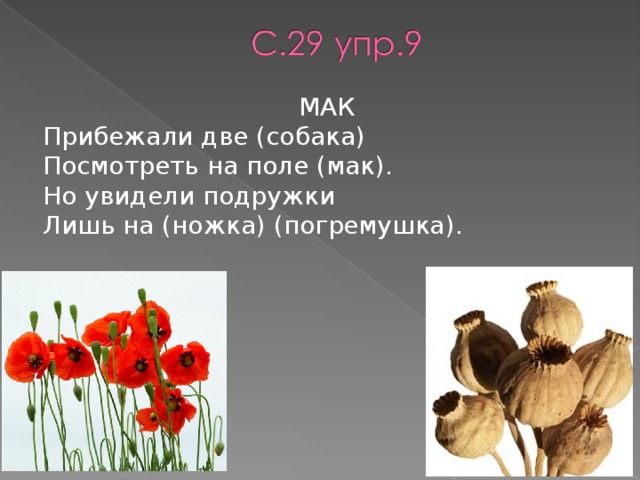 МАК Прибежали две (собака) Посмотреть на поле (мак). Но увидели подружки Лишь на (ножка) (погремушка).