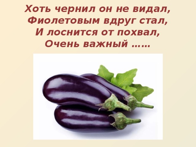 Хоть чернил он не видал,  Фиолетовым вдруг стал,  И лоснится от похвал,  Очень важный ……