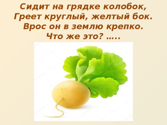 Сидит на грядке колобок,  Греет круглый, желтый бок.  Врос он в землю крепко.  Что же это? …..