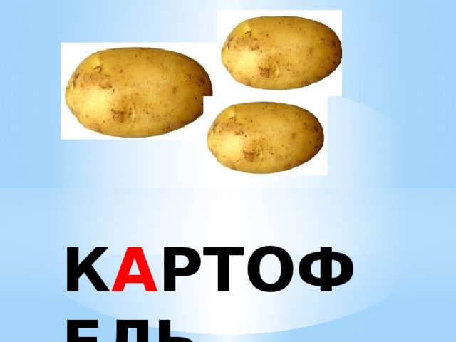 К А РТОФЕЛЬ