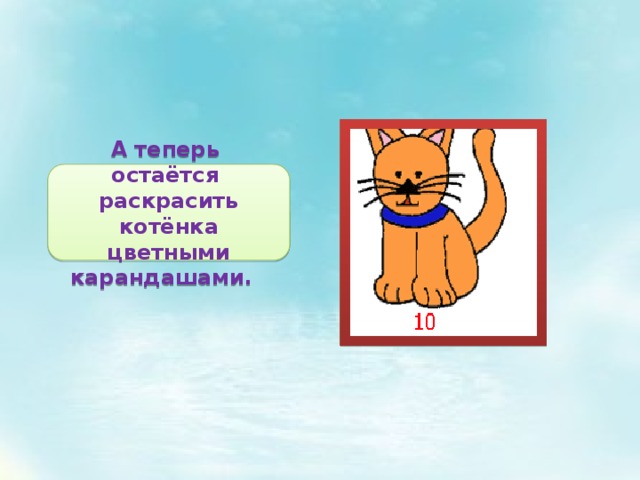 Котик класс