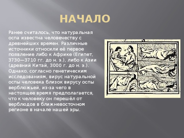 НАЧАЛО Ранее считалось, что натуральная оспа известна человечеству с древнейших времен. Различные источники относили её первое появление либо к Африке (Египет, 3730—3710 гг. до н. э.), либо к Азии (древний Китай, 3000 г. до н. э.). Однако, согласно генетическим исследованиям, вирус натуральной оспы человека близок вирусу оспы верблюжьей, из-за чего в настоящее время предполагается, что к человеку он перешёл от верблюдов в ближневосточном регионе в начале нашей эры.