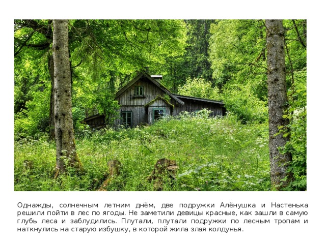 Однажды, солнечным летним днём, две подружки Алёнушка и Настенька решили пойти в лес по ягоды. Не заметили девицы красные, как зашли в самую глубь леса и заблудились. Плутали, плутали подружки по лесным тропам и наткнулись на старую избушку, в которой жила злая колдунья.