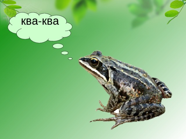 ква-ква Ква-ква