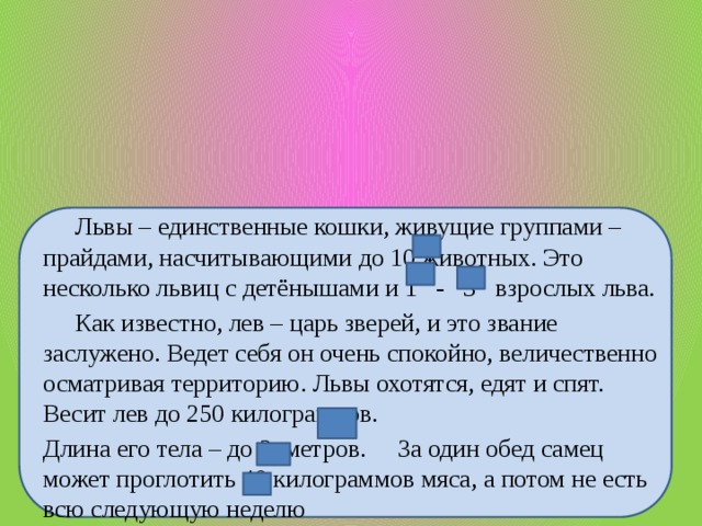 Львы – единственные кошки, живущие группами – прайдами, насчитывающими до 10 животных. Это несколько львиц с детёнышами и 1 - 3 взрослых льва.  Как известно, лев – царь зверей, и это звание заслужено. Ведет себя он очень спокойно, величественно осматривая территорию. Львы охотятся, едят и спят. Весит лев до 250 килограммов. Длина его тела – до 3 метров.  За один обед самец может проглотить 40 килограммов мяса, а потом не есть всю следующую неделю