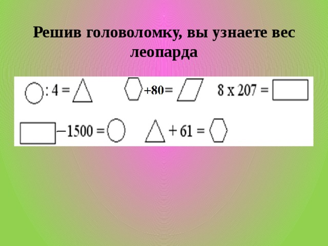 Решив головоломку, вы узнаете вес леопарда