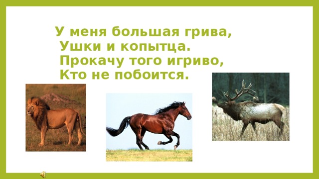 У меня большая грива,   Ушки и копытца.    Прокачу того игриво,    Кто не побоится. 