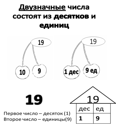 1 класс чисел единиц. Математика 2 класс разрядный состав двузначных чисел. Задания на разрядный состав двузначного числа. Образование двузначных чисел 1 класс. Десятичный состав двузначных чисел.