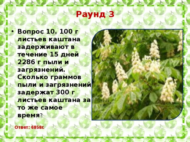 Раунд 3 Вопрос 10. 100 г листьев каштана задерживают в течение 15 дней 2286 г пыли и загрязнений. Сколько граммов пыли и загрязнений задержат 300 г листьев каштана за то же самое время ?   Ответ: 6858г.