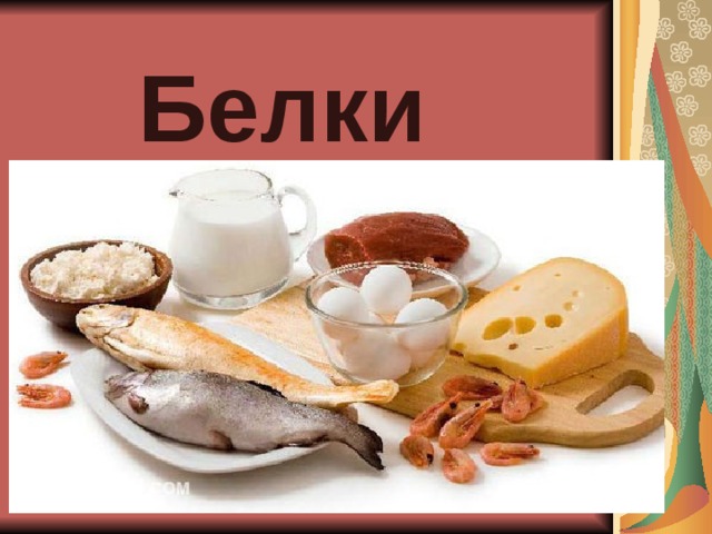 Белки