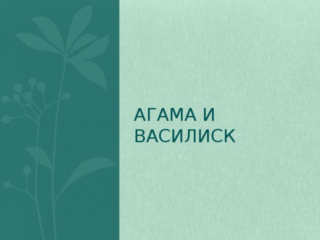 Агама и Василиск