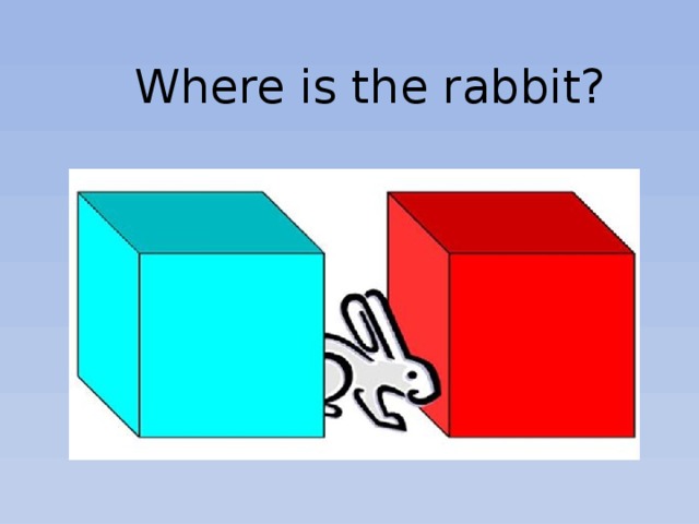 Where is the rabbit?