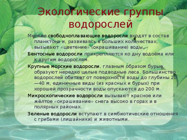 Фукус группа. Экологические группы водорослей. Экологические группы водоросмле й. Экологическая группа зеленых водорослей. Экологические группы красных водорослей.