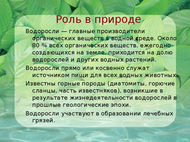 Роль в природе Водоросли — главные производители органических веществ в водной среде. Около 80 % всех органических веществ, ежегодно создающихся на земле, приходится на долю водорослей и других водных растений. Водоросли прямо или косвенно служат источником пищи для всех водных животных. Известны горные породы (диатомиты, горючие сланцы, часть известняков), возникшие в результате жизнедеятельности водорослей в прошлые геологические эпохи. Водоросли участвуют в образовании лечебных грязей.