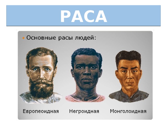 РАСА