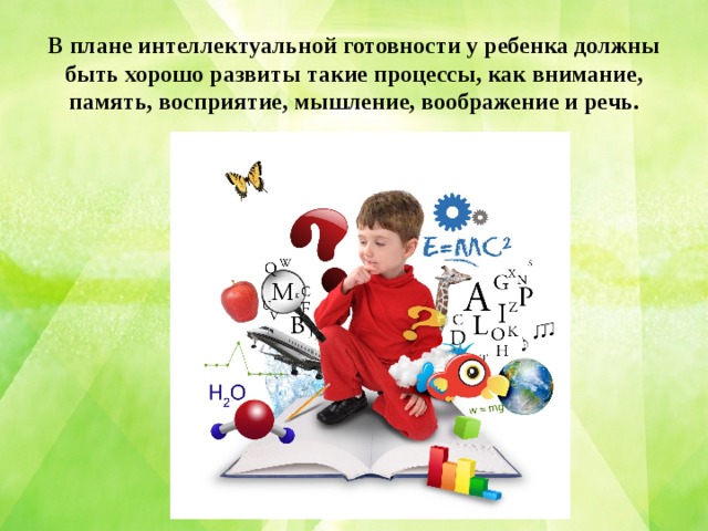 В плане интеллектуальной готовности у ребенка должны быть хорошо развиты такие процессы, как внимание, память, восприятие, мышление, воображение и речь.