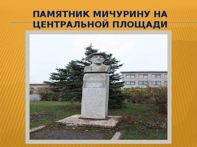 Памятник Мичурину на центральной площади