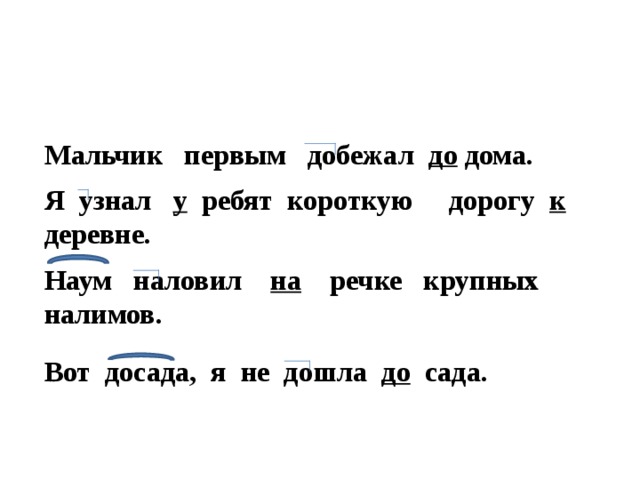 Мальчик первым добежал до дома.    Я узнал у ребят короткую дорогу к деревне.  Наум наловил на речке крупных налимов.    Вот досада, я не дошла до сада.