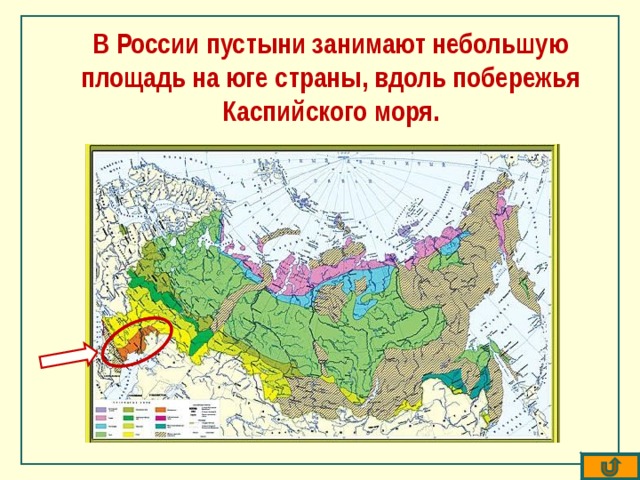 В России пустыни занимают небольшую площадь на юге страны, вдоль побережья Каспийского моря.