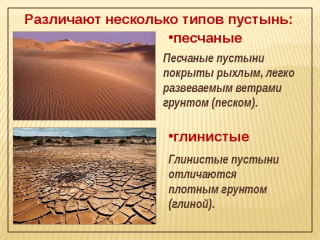 Различают несколько типов пустынь: песчаные Песчаные пустыни покрыты рыхлым, легко развеваемым ветрами грунтом (песком). глинистые Глинистые пустыни отличаются плотным грунтом (глиной).