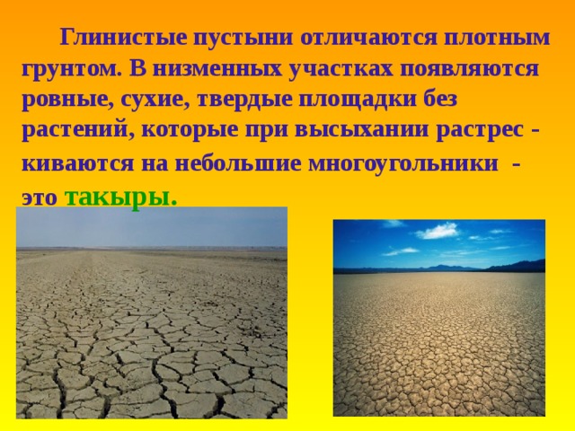 Глинистые пустыни отличаются плотным грунтом . В низменных участках появляются  ровные , сухие , твердые площадки без растений , которые при высыхании растрес - киваются на небольшие многоугольники -  это  такыры.