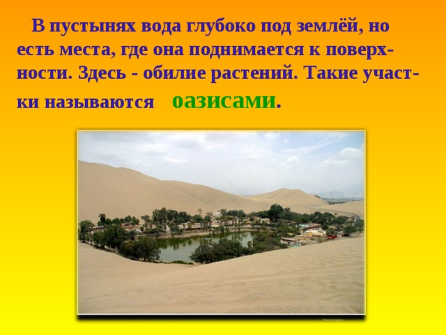 В пустынях вода глубоко под землёй , но есть места , где  она поднимается к поверх-ности . Здесь  - обилие растений . Такие участ-ки называются  оазисами .