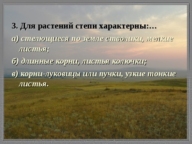 3.  Для растений степи характерны:… а) стелющиеся по земле стволики, мелкие листья; б) длинные корни, листья колючки; в) корни-луковицы или пучки, узкие тонкие листья.