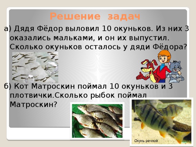 Решение задач а) Дядя Фёдор выловил 10 окуньков. Из них 3 оказались мальками, и он их выпустил. Сколько окуньков осталось у дяди Фёдора? б) Кот Матроскин поймал 10 окуньков и 3 плотвички.Сколько рыбок поймал Матроскин?