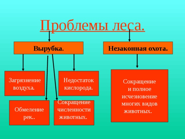 Проблемы леса. Незаконная охота. Вырубка . Сокращение и полное исчезновение многих видов животных.  Недостаток Загрязнение воздуха.  кислорода. Обмеление Сокращение рек.. численности животных.