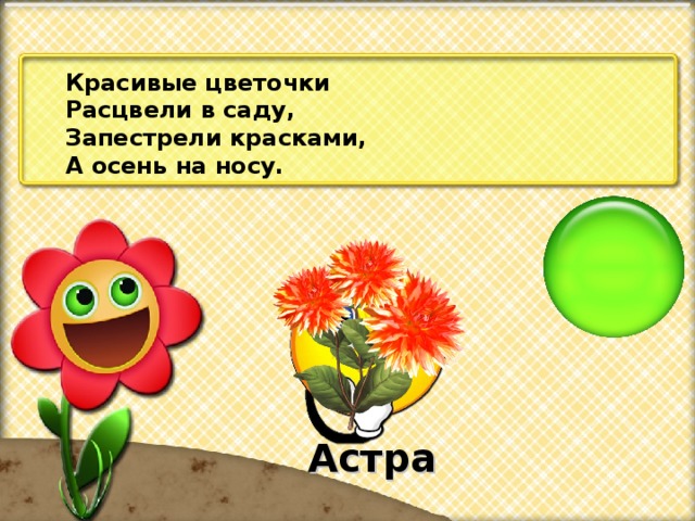 Красивые цветочки Расцвели в саду, Запестрели красками, А осень на носу. Астра