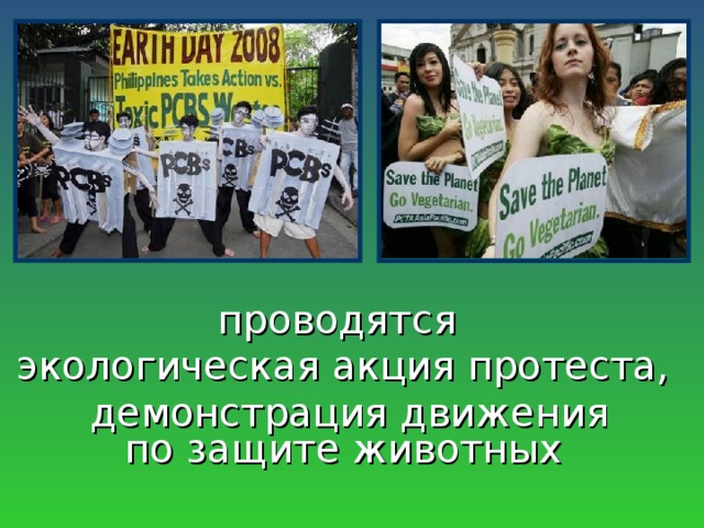 проводятся экологическая акция протеста,  демонстрация движения по защите животных