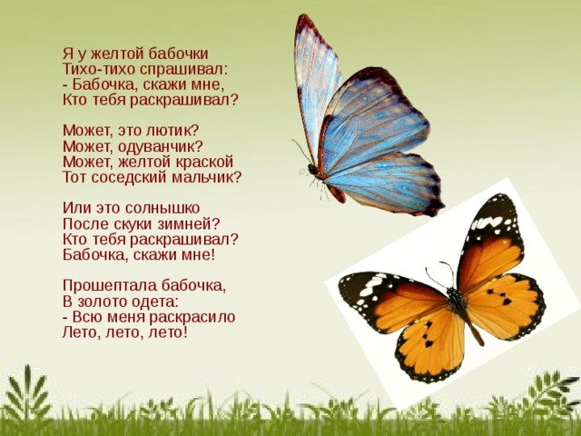 Я у желтой бабочки  Тихо-тихо спрашивал:  - Бабочка, скажи мне,  Кто тебя раскрашивал?   Может, это лютик?  Может, одуванчик?  Может, желтой краской  Тот соседский мальчик?   Или это солнышко  После скуки зимней?  Кто тебя раскрашивал?  Бабочка, скажи мне!   Прошептала бабочка,  В золото одета:  - Всю меня раскрасило  Лето, лето, лето!