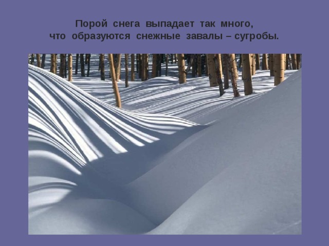 Порой снега выпадает так много,  что образуются снежные завалы – сугробы.