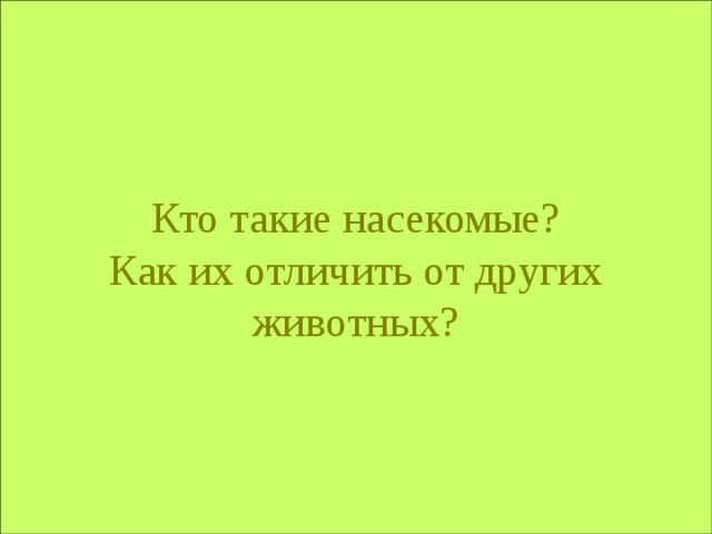 Кто такие насекомые?  Как их отличить от других животных?