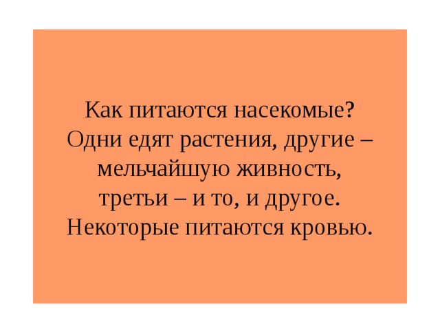 Как питаются насекомые?  Одни едят растения, другие – мельчайшую живность,  третьи – и то, и другое.  Некоторые питаются кровью.