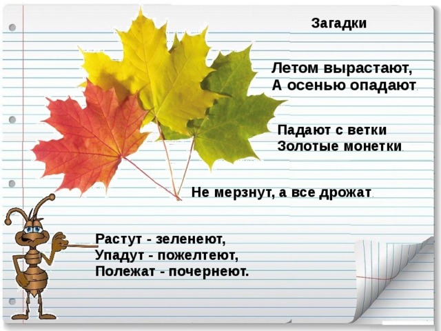 Загадки Летом вырастают,  А осенью опадают . Падают с ветки  Золотые монетки . Не мерзнут, а все дрожат . Растут - зеленеют, Упадут - пожелтеют, Полежат - почернеют.