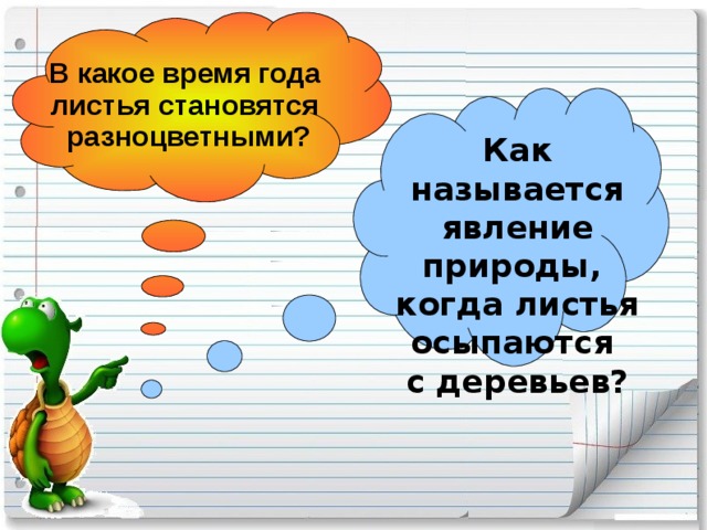 В какое время года листья становятся разноцветными? Как называется явление природы, когда листья осыпаются с деревьев?