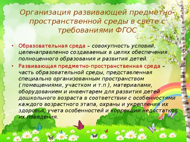 Организация развивающей предметно-пространственной среды в свете с требованиями ФГОС