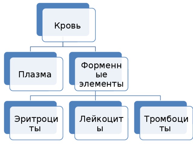 Кровь Плазма Форменные элементы Эритроциты Лейкоциты Тромбоциты