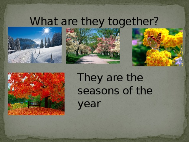 What are they together? They are the seasons of the year