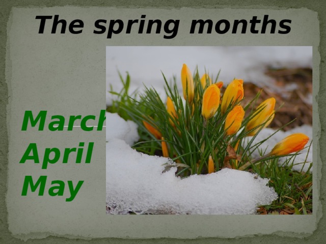 The spring months are  March April May