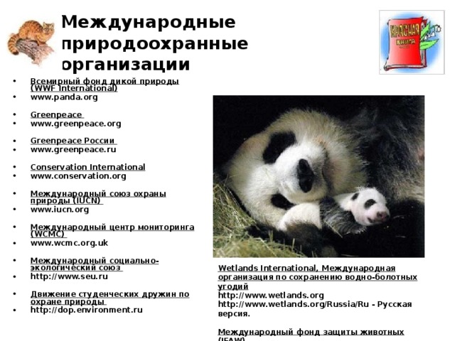 Международные природоохранные организации Всемирный фонд дикой природы (WWF International)  www.panda.org  Greenpeace www.greenpeace.org  Greenpeace России www.greenpeace.ru  Conservation International  www.conservation.org  Международный союз охраны природы (IUCN) www.iucn.org  Международный центр мониторинга (WCMC) www.wcmc.org.uk  Международный социально-экологический союз http://www.seu.ru  Движение студенческих дружин по охране природы http://dop.environment.ru  Wetlands International, Международная организация по сохранению водно-болотных угодий http://www.wetlands.org http://www.wetlands.org/Russia/Ru - Русская версия.  Международный фонд защиты животных (IFAW) http://www.ifaw.org/ifaw