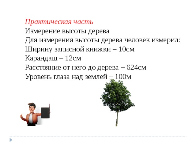 Практическая часть Измерение высоты дерева Для измерения высоты дерева человек измерил: Ширину записной книжки – 10см Карандаш – 12см Расстояние от него до дерева – 624см Уровень глаза над землей – 100м