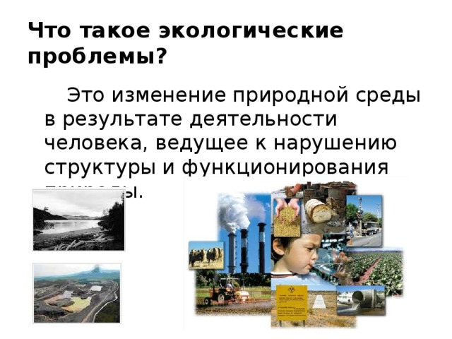 Что такое экологические проблемы?   Это изменение природной среды в результате деятельности человека, ведущее к нарушению структуры и функционирования природы.