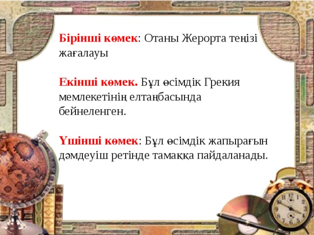 Бірінші көмек : Отаны Жерорта теңізі жағалауы Екінші көмек. Бұл өсімдік Грекия мемлекетінің елтаңбасында бейнеленген. Үшінші көмек : Бұл өсімдік жапырағын дәмдеуіш ретінде тамаққа пайдаланады.