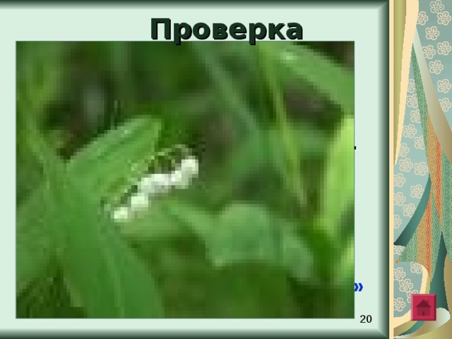 Комментирование     Издалек? пр?летевший скворец заглядывает в открытую  настеж?  дверь .  Дача еще н?кем (не) занята . Скворцу невтерпеж? занять ее . Дно домика сплош? усыпа(н , нн)о пухом . Дача в хорошем месте: поблизости пруд. Есть и соседи. Сообща ле?че гнать проч? ворон. Лиш? подумал об этом , а вороны летят к домику. Но дружная семья соседей (не) допустила н?кого к домику скворца.