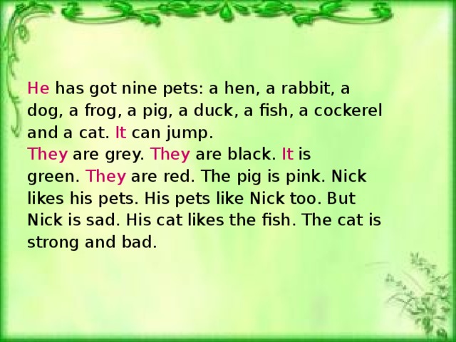 He has got nine pets: a hen, a rabbit, a dog, a frog, a pig, a duck, a fish, a cockerel and a cat. It can jump . They are grey. They are black. It is green. They are red. The pig is pink. Nick likes his pets. His pets like Nick too. But Nick is sad. His cat likes the fish. The cat is strong and bad.
